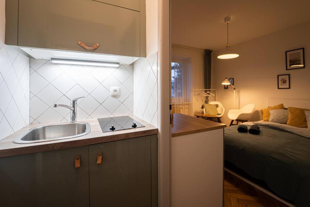 Mini Studio In Masaryk Quarter - Brno Daire Dış mekan fotoğraf